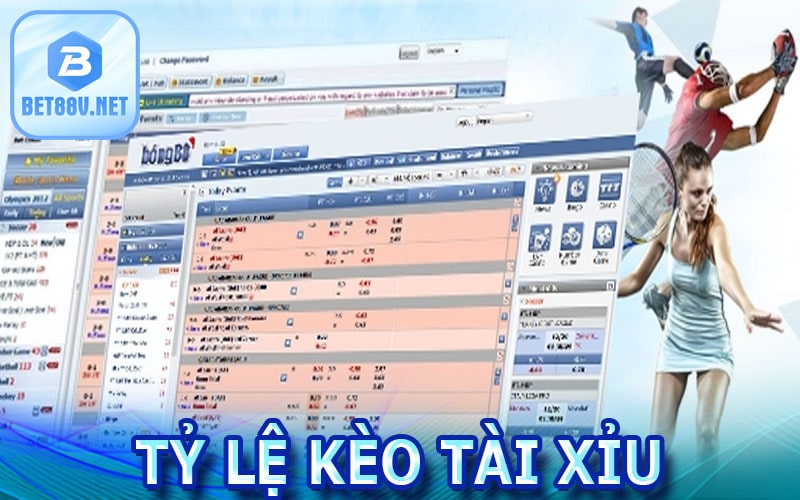 Tỷ lệ kèo tài xỉu chuẩn xác nhất 